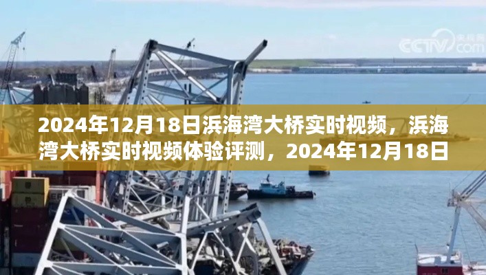 浜海湾大桥实时视频体验评测,新视界下的壮丽景观