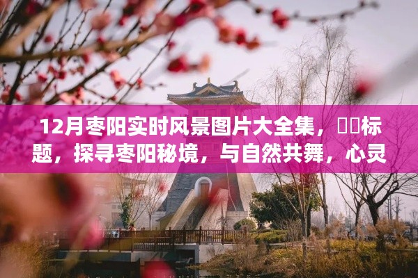 探寻枣阳秘境,十二时辰自然风景之旅