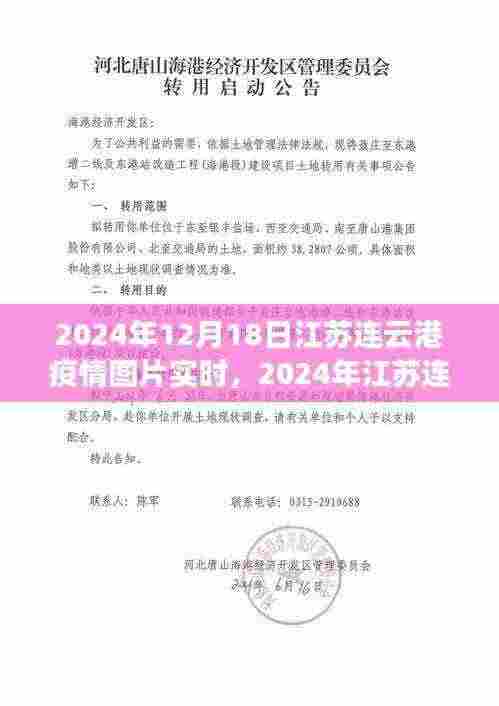 2024年江苏连云港疫情最新动态，实时图片与深度报道