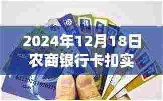 农商银行实时通前税扣款日,自然美景的心灵之旅体验纪实