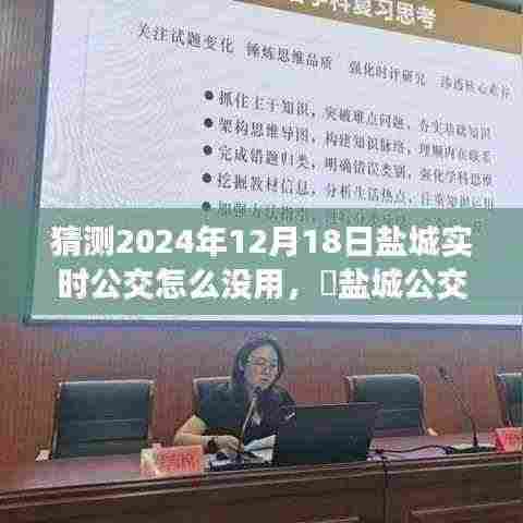 盐城公交奇遇记,探寻自然美景的心灵之旅与实时公交问题探寻