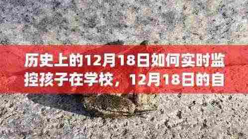 12月18日学校实时监控与自然探险之旅,孩子的心灵之旅启程