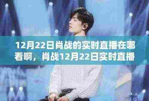 肖战12月22日直播观看指南,实时直播、全面评测与深度分析