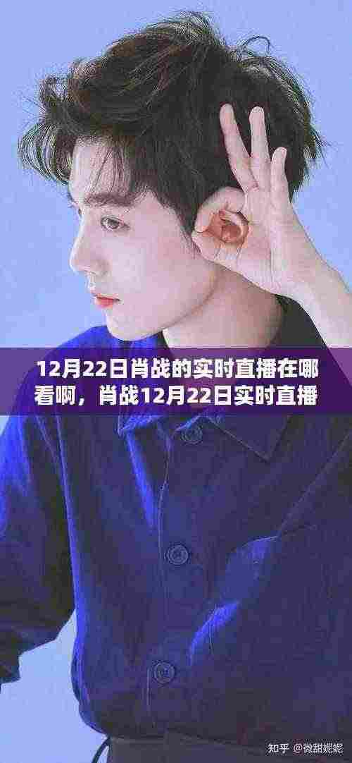 肖战12月22日直播观看指南,实时直播、全面评测与深度分析