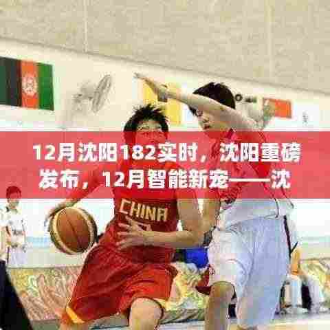 沈阳发布重磅科技新品,沈阳182实时科技重塑未来生活体验