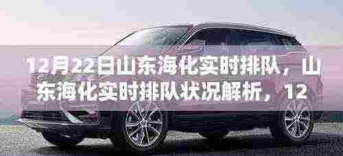 山东海化实时排队状况解析,最新动态概览(12月22日)