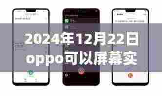 OPPO实时屏幕翻译功能深度测评,特性、体验、竞品对比与用户洞察,2024年12月22日最新进展揭秘