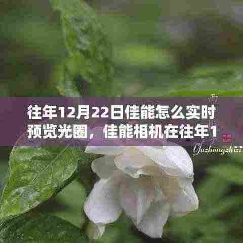 佳能相机光圈实时预览功能深度解析,历史、实现与观点阐述(往年12月22日篇)