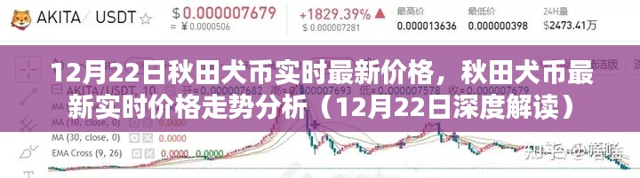 秋田犬币实时价格走势深度解读,最新行情与趋势分析(12月22日)