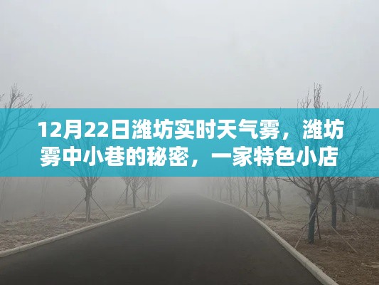 潍坊雾中小巷的特色小店奇遇,12月22日实时天气雾