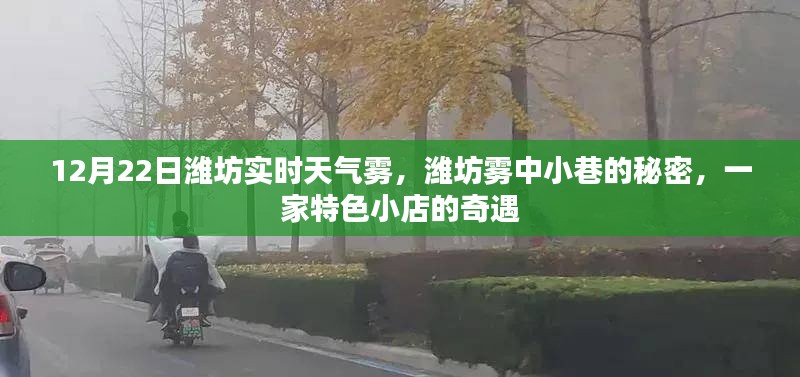 潍坊雾中小巷的特色小店奇遇,12月22日实时天气雾