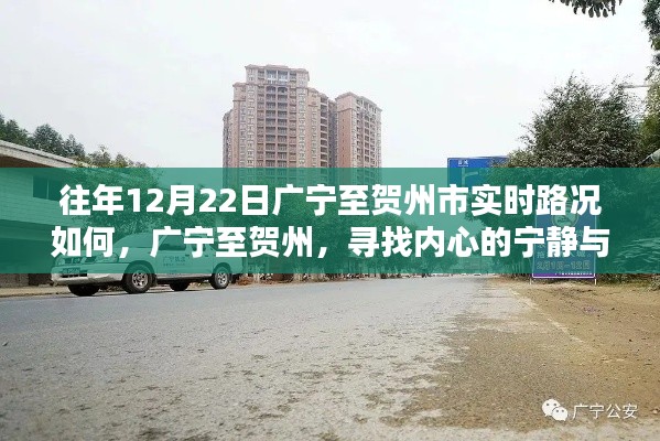 广宁至贺州,探寻内心宁静与自然微笑的实时路况报告