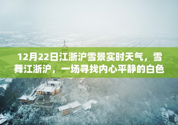 江浙沪雪景实时播报,雪舞中的白色旅程,寻找内心平静之旅