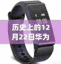 历史上的12月22日，华为B29手环实时心率监测功能解析与探讨