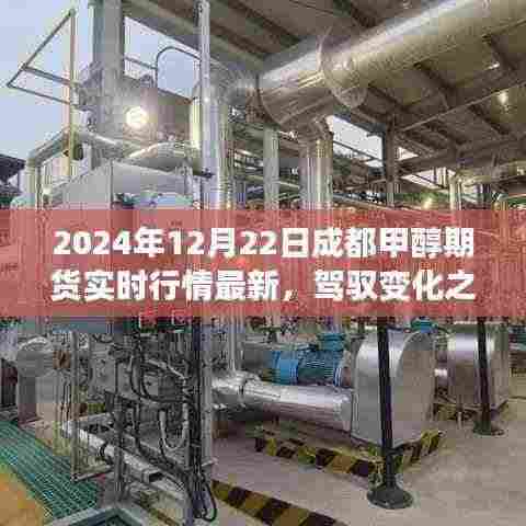 驾驭变化之浪,成就甲醇期货巅峰,成都甲醇期货实时行情下的励志之旅(2024年)