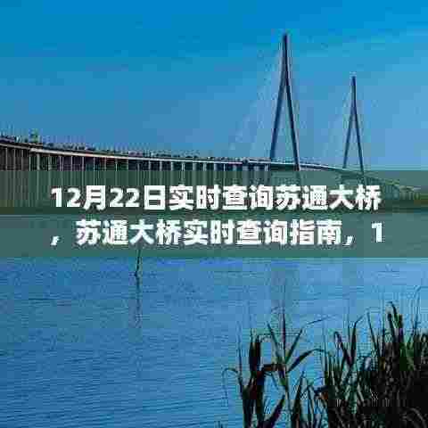 12月22日苏通大桥实时交通查询指南，初学者与进阶用户适用