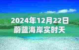 蔚蓝海岸冬日记忆，温馨时光与友情的共融