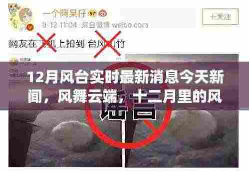 十二月风台最新消息,云端奇闻与暖心友情的交织