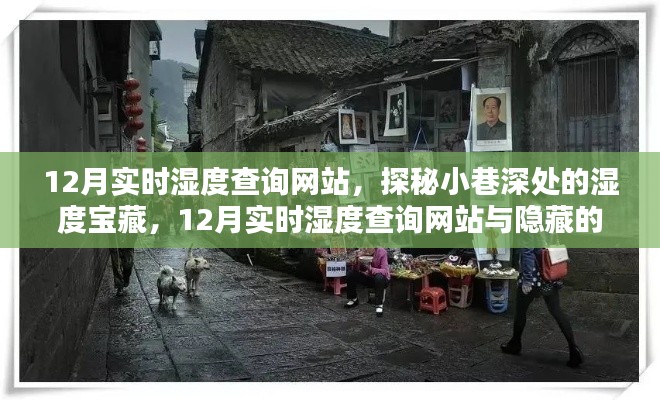 探秘小巷特色小店,揭秘12月实时湿度查询网站与隐藏湿度宝藏