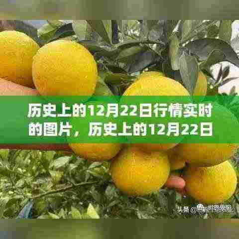 历史上的12月22日行情实时图片回顾与产品全面评测