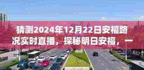 明日安福路况实时直播,探寻内心平静的旅程预告