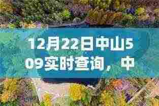 12月22日中山509实时查询,与自然共舞的中山美景探秘之旅