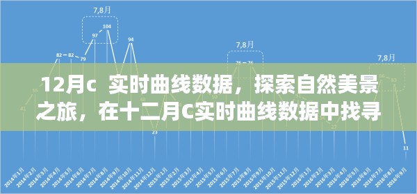 十二月C实时曲线数据,自然美景探索之旅,寻找内心的宁静与喜悦