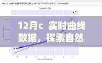 十二月C实时曲线数据,自然美景探索之旅,寻找内心的宁静与喜悦