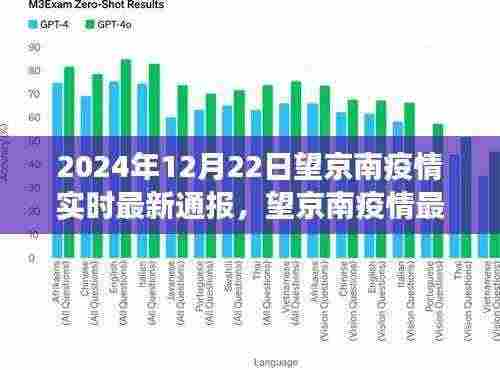 2024年12月22日望京南疫情实时最新通报与进展回顾