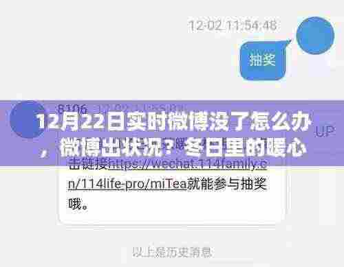 微博冬日故障,暖心小插曲与实时微博缺失之谜