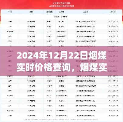 2024年12月22日烟煤实时价格查询，市场动态聚焦