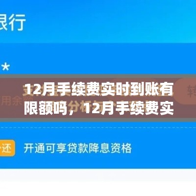 探讨，12月手续费实时到账的限额问题解析