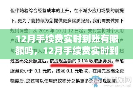 探讨,12月手续费实时到账的限额问题解析