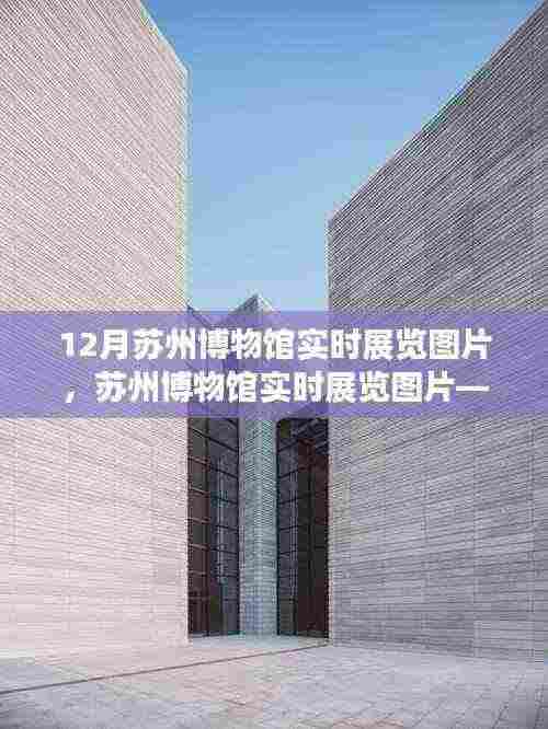 苏州博物馆十二月实时展览图片,古典与现代的交融之美探索