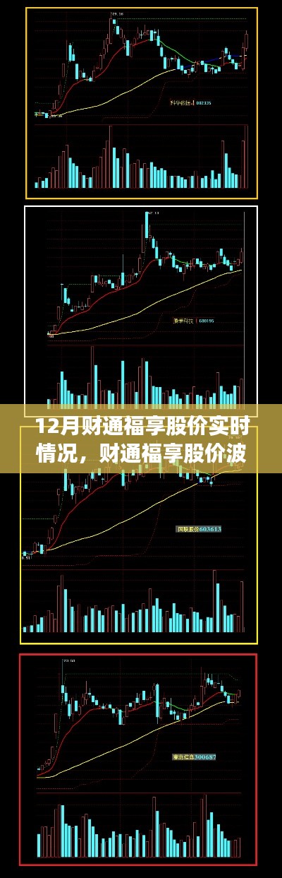 透视十二月市场风云,财通福享股价实时波动情况分析