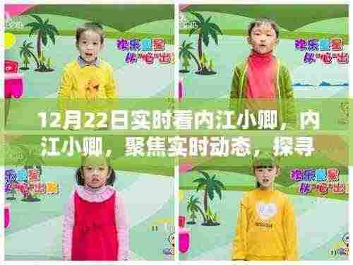 内江小卿实时动态聚焦,探寻地方魅力