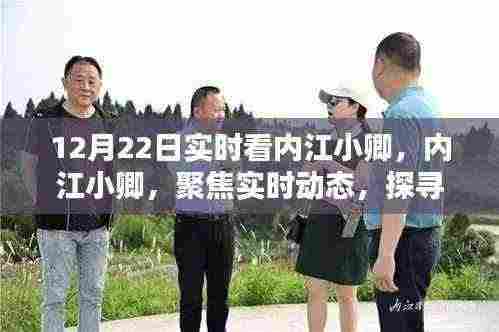 内江小卿实时动态聚焦,探寻地方魅力
