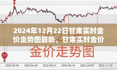 甘肃实时金价走势图解析,初学者友好指南(2024年12月22日最新动态)
