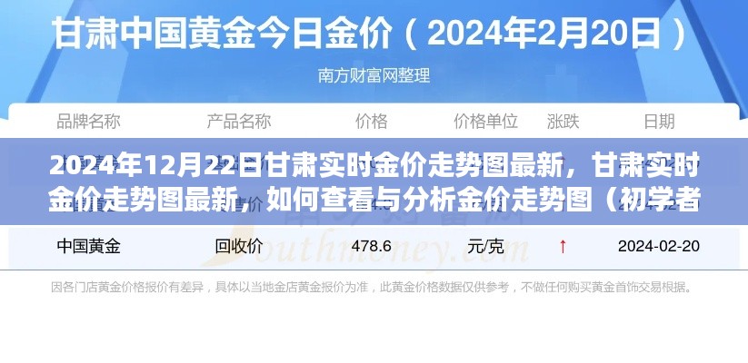 甘肃实时金价走势图解析,初学者友好指南(2024年12月22日最新动态)