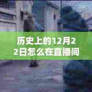 历史直播间揭秘,探寻小巷深处的特色小店,历史字幕中的独特风味