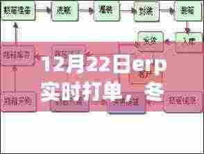 冬日ERP实时打单之旅,与自然美景共舞,探寻内心宁静和谐之道