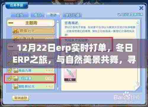 冬日ERP实时打单之旅,与自然美景共舞,探寻内心宁静和谐之道