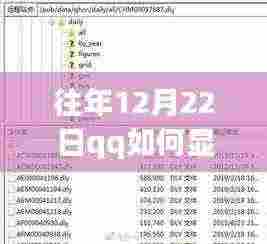 往年12月22日QQ实时距离显示功能详解,探讨优劣与体验感受