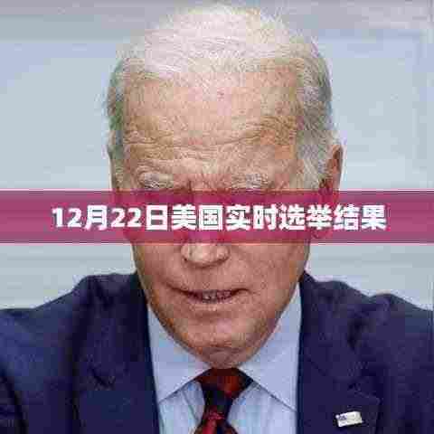 美国大选实时结果揭晓,最新选举动态报道