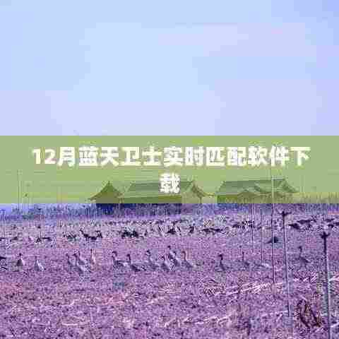 蓝天卫士实时匹配软件下载指南