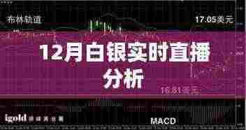 斫琱为朴 第4页