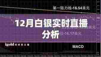 白银市场实时分析直播解读