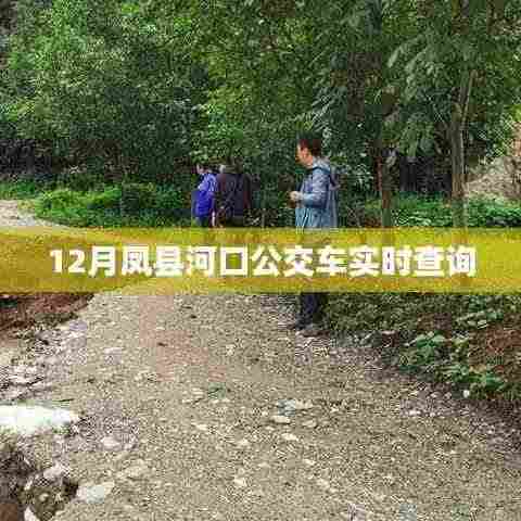 凤县河口公交车实时查询(十二月版)