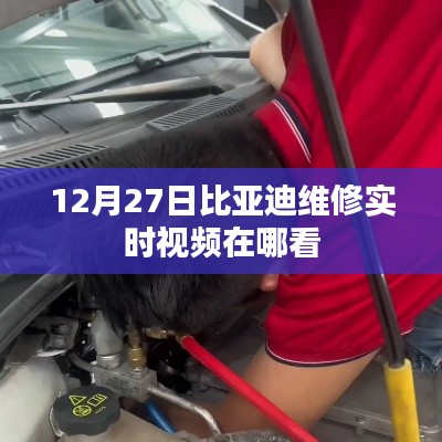 比亚迪维修实时视频观看指南 12月27日更新