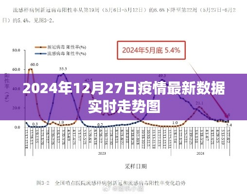 2024年疫情实时数据走势图,最新动态分析